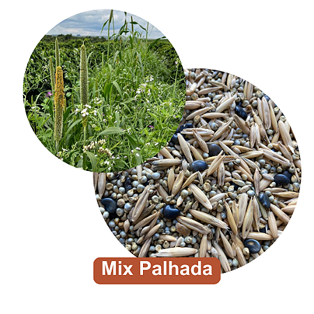 MIX DE PALHADA