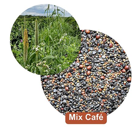 MIX CAFÉ