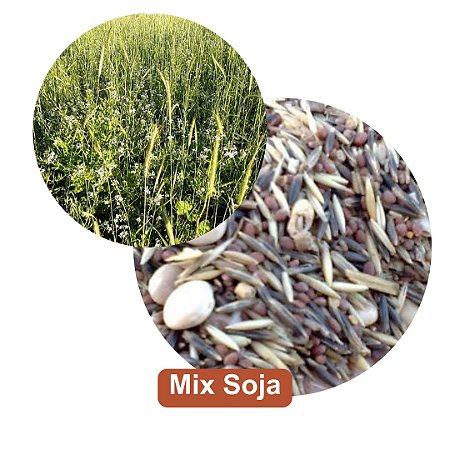 MIX SOJA