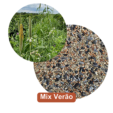 Sementes de cobertura - MIX Verão 5 kg