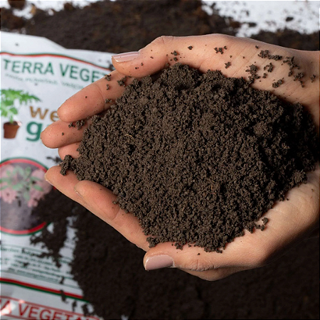 Terra para plantio vaso jardim adubada - 2 kg PRONTO USO