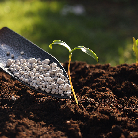 Adubo Fertilizante manutenção plantas NPK 20-05-20 - 2kg TOP