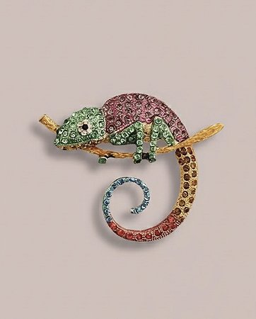 Broche Camaleão Espiral