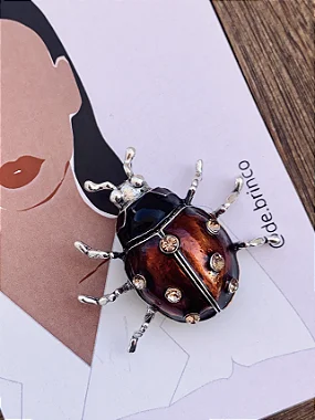 Broche Joaninha Vermelha