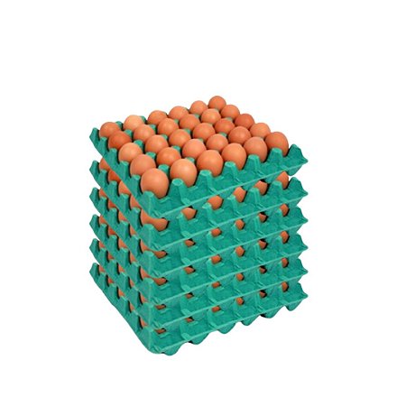 6 Cartelas Ovo vermelho extra