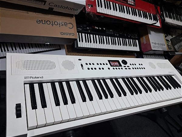 Teclado Roland Gokeys 5 Seminovo