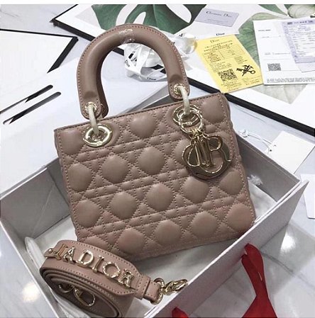 Bolsa Dior