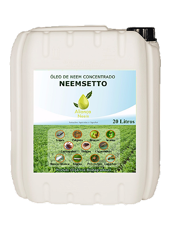 Neem Oleo De Neem Concentrado Galão 20 Litros Neemsetto
