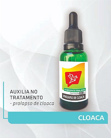 Cloacalis Homeopático para PROLAPSO DE CLOACA em aves e pássaros.