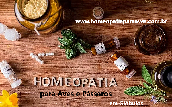 Homeopatia para aves em Glóbulos. agora todos os medicamento homeopático estão disponível na versão glóbulo. 24g = 500 glóbulo