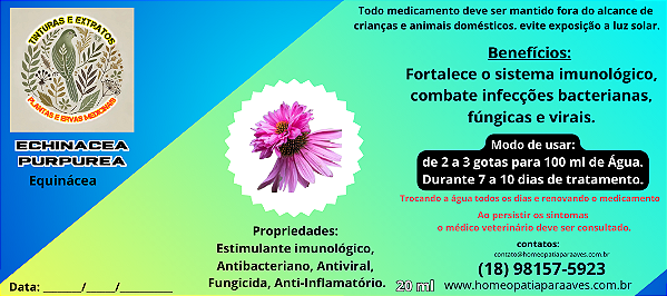 Tintura natural de equinácea. Imunoprotetora que auxilia no tratamento de infecções e inflamações respiratórias e digestivas. 20ml