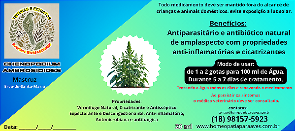 Tintura de Mastruz (Erva-de-Santa-Maria) para Uso em Humanos e Pássaros, Antiparasitário e antibiótico natural de amplaspecto com propriedades anti-inflamatórias e cicatrizantes. 20ml