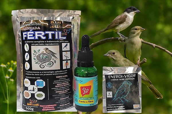 🏆 Kit Alto Rendimento e Performance – Energia, Disposição, Saúde e Vigor para Torneio de Canto e Fibra para Aves Competidoras.