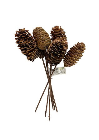 HASTE PINHA C/6 UND 20CM
