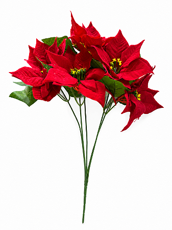 BUQUE BICO PAPAGAIO - 45CM