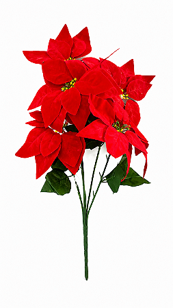 BUQUÊ BICO PAPAGAIO - 50CM