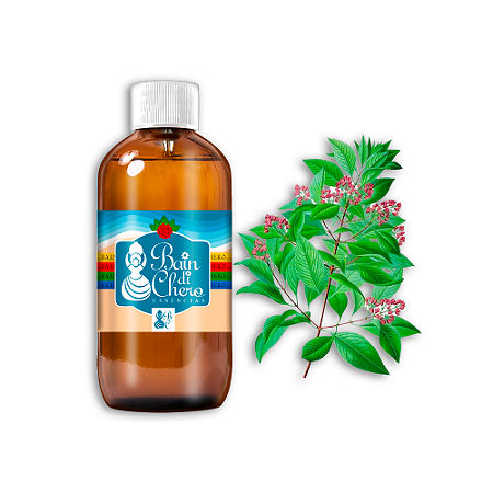 Essência Aromática Concentrada Lipossolúvel (Óleo) de Sândalo