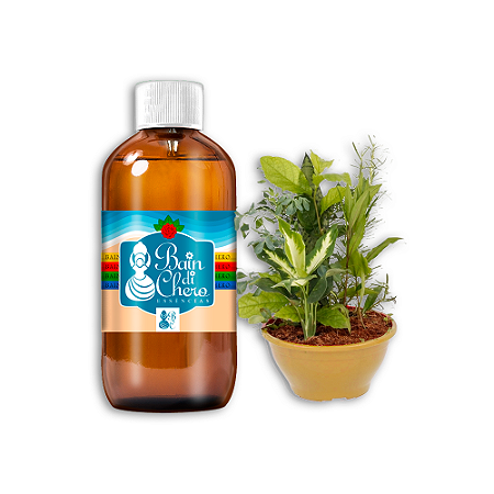 Essência Aromática Concentrada Lipossolúvel (Óleo) de Sete Ervas