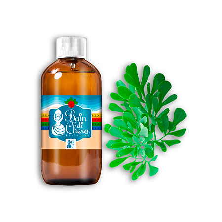 Essência Aromática Concentrada Hidrossolúvel (Água) de Arruda