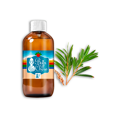 Essência Aromática Concentrada Lipossolúvel (Óleo) de Melaleuca