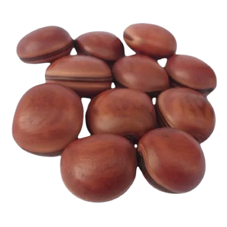 Pacote Sementes Olho De Boi 20 Unidades