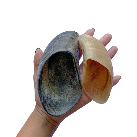 Kit Mordedor Pet 6 Cascos Bovinos - Luv