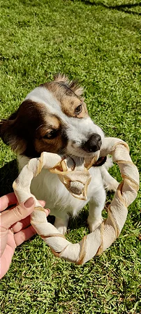 Mordedor de pele Bovina Crush Pet - Alecrim Pet
