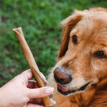Mordedor resistente Natuka Buba P - Pele de Bufalo