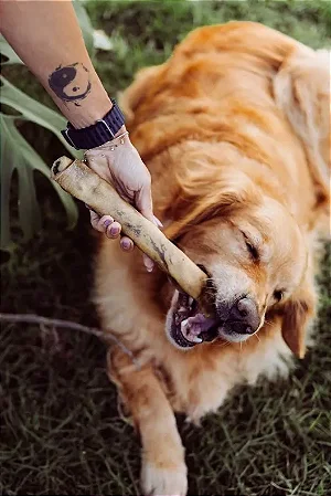 Pele Bovina Sem pelos - Natuka Canoli