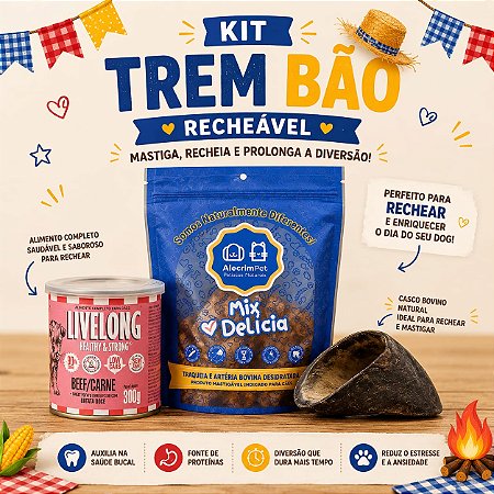 KIT TREM BÃO RECHEÁVEL