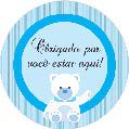 16 Adesivo Etiqueta Para Festa Cha De Bebe Ursinho Menino 5Cm 53.28 ( Nc Toys Etiqueta)
