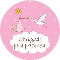 16 Adesivo Etiqueta Para Festa Cha De Bebe Cegonha Rosa 5Cm 53.26 ( Nc Toys Etiqueta)