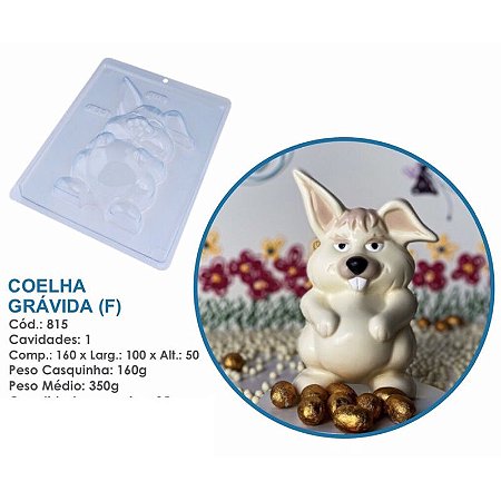 Forma Bwb Coelha Grávida Frente Páscoa 3 Partes C/ Silicone 350G Cod-815 (Bwb Especial)