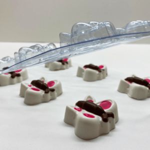 Forma Bwb Silicone Trufa Borboleta Festa Jardim 30G Cod-9693  (Bwb Especial)