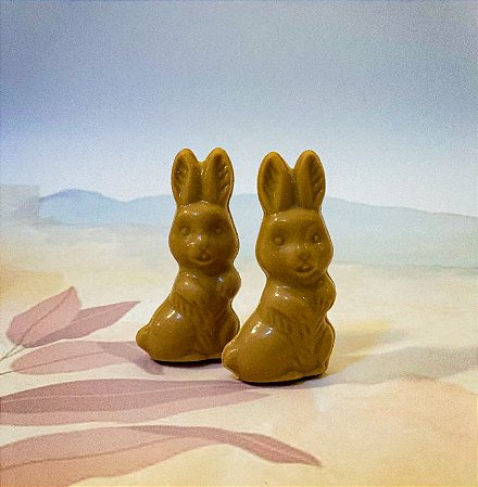 Forma Bwb Simples Coelho A 50G Cód. 217 ( BWB SIMPLES )  (BWB PASCOA)