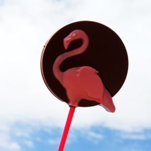 Forma Bwb Simples Pirulito Flamingo 38G Cod:9694  ( BWB SIMPLES )