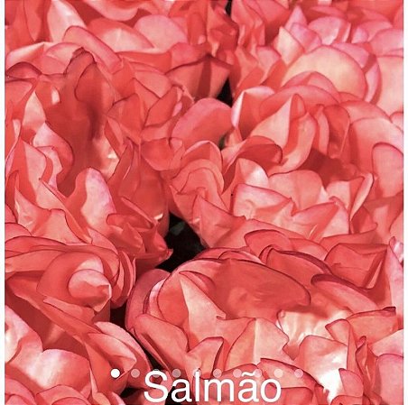 24 Forminhas Para Doces Finos Luxo Celebrare Salmão