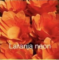 40 Forma Paris Laranja Neon