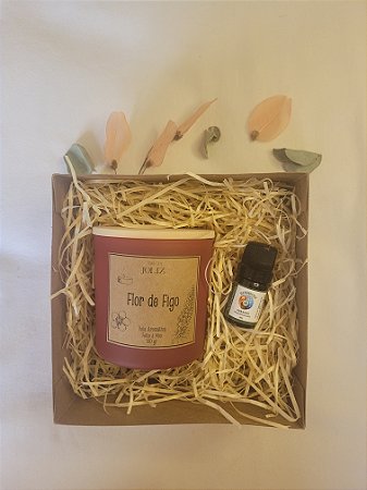 Kit 2 - O Mundo