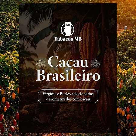 Cacau Brasileiro - MB