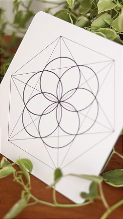 Mandala Semente da Vida – Placa de PVC