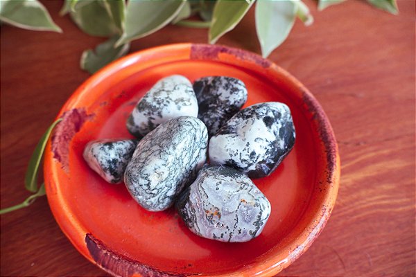 Ágata Musgo - Rolado