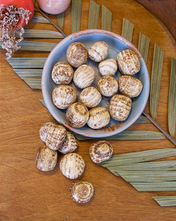 Aragonita Peruana - Rolada