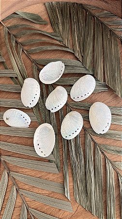 Abalone Perolado