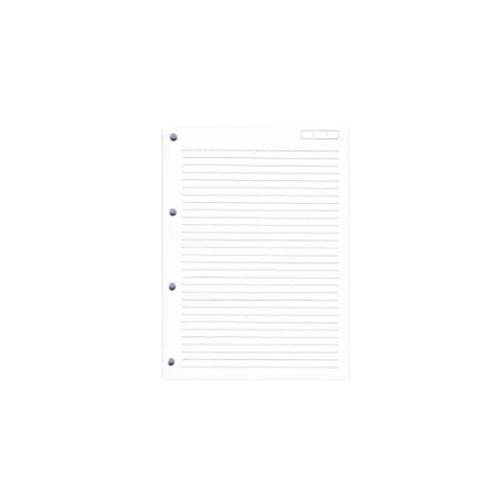 BLOCO FICHARIO 4 FUROS UNIVERSITARIO 96FLS BRANCO