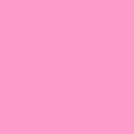 PLACA EVA 40X48CM ROSA