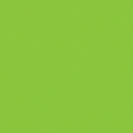 PLACA EVA 40X48CM VERDE CLARO