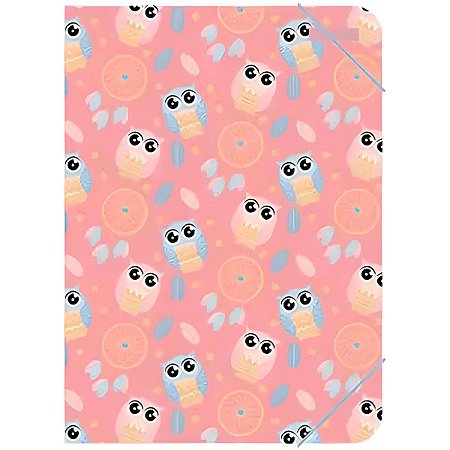 PASTA PLASTICA C/ELASTICO S/L OFICIO CORUJA CONTAINER