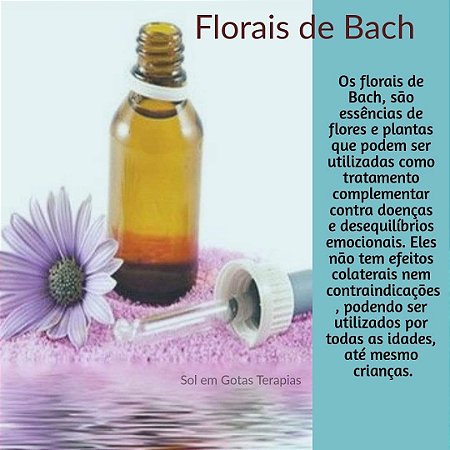 Florais De Bach - Indicação Personalizada