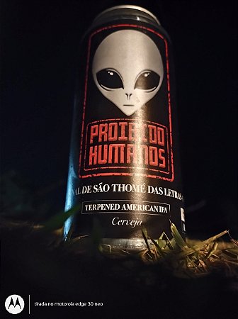 Cerveja American IPA Terpenada  473 ML